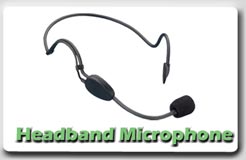 MIC 100